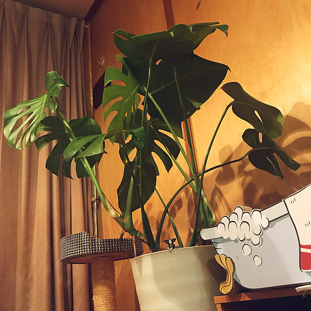 kou-kitiさんの実例写真