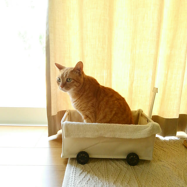 mayutan.さんの実例写真