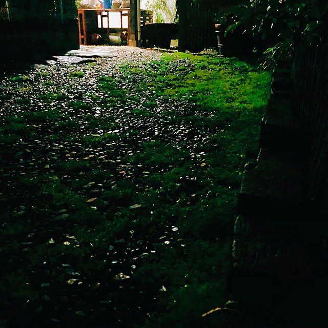 chacoさんの実例写真