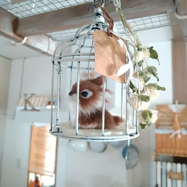 KNさんの実例写真