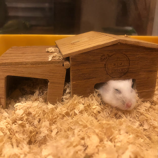 tomoさんの実例写真