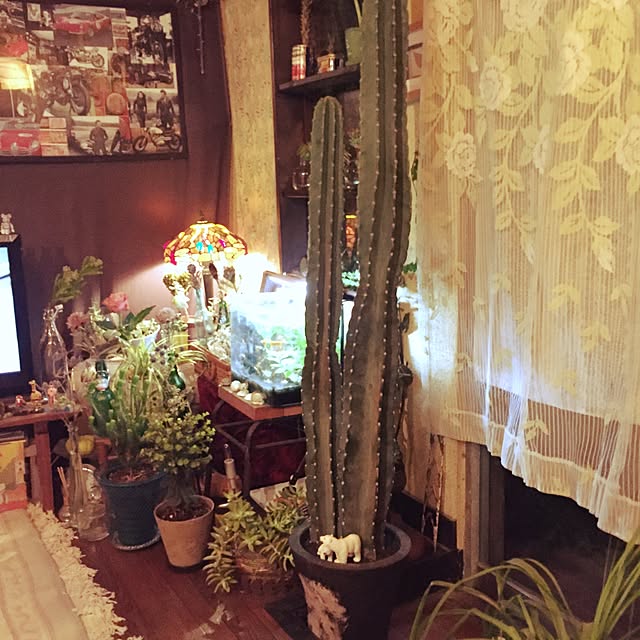 Masahideさんの実例写真