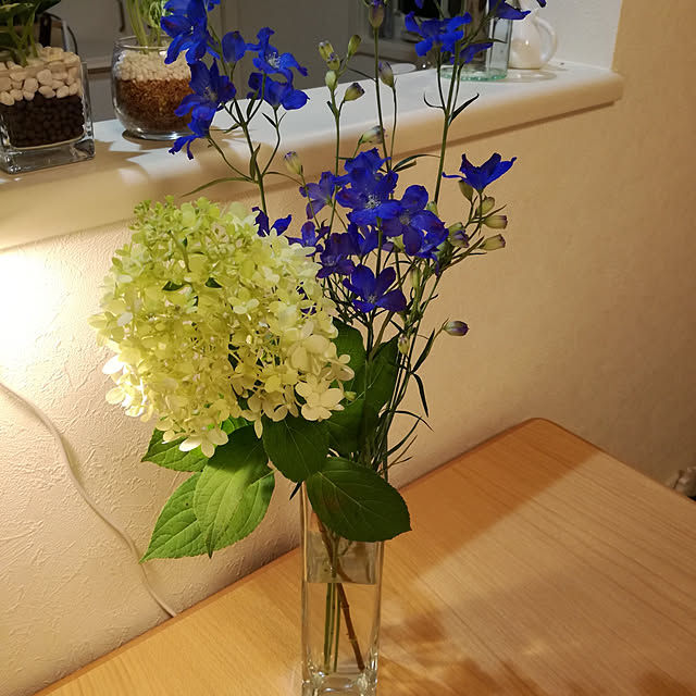 ukulele_hebelianさんの部屋
