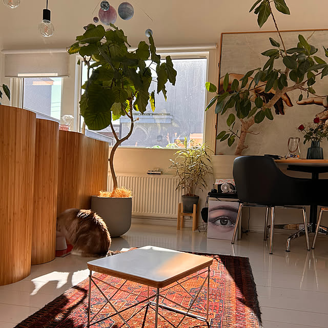 nonononakaさんの実例写真