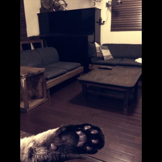 jnkaiさんの実例写真