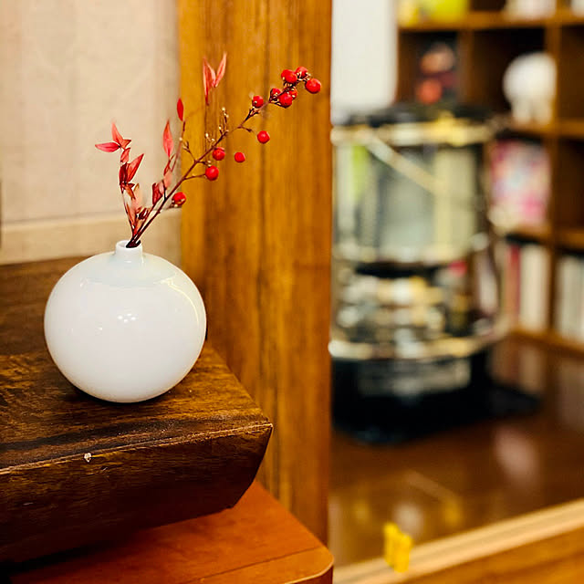 フジカハイペットのおすすめ商品とおしゃれな実例 | RoomClip フジカハイペットのおすすめ商品とおしゃれな実例 | RoomClip