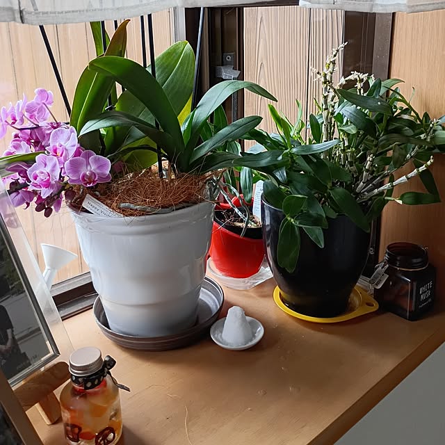 coco1204さんの部屋