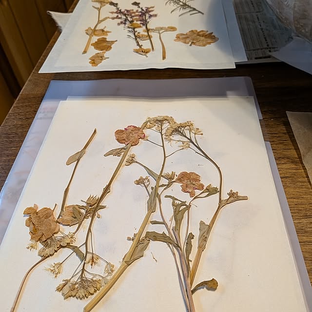botanさんの部屋