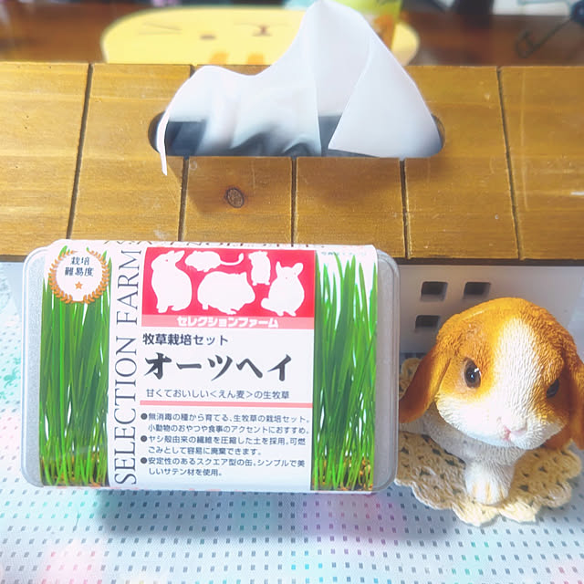 mariaさんの実例写真