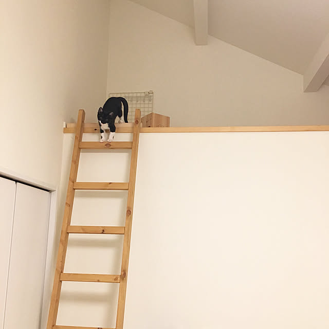 blanchomeさんの実例写真