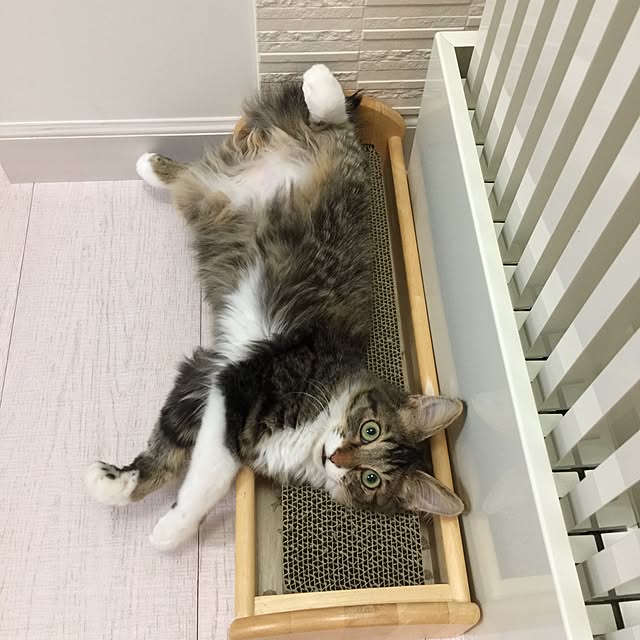 yuchiさんの実例写真