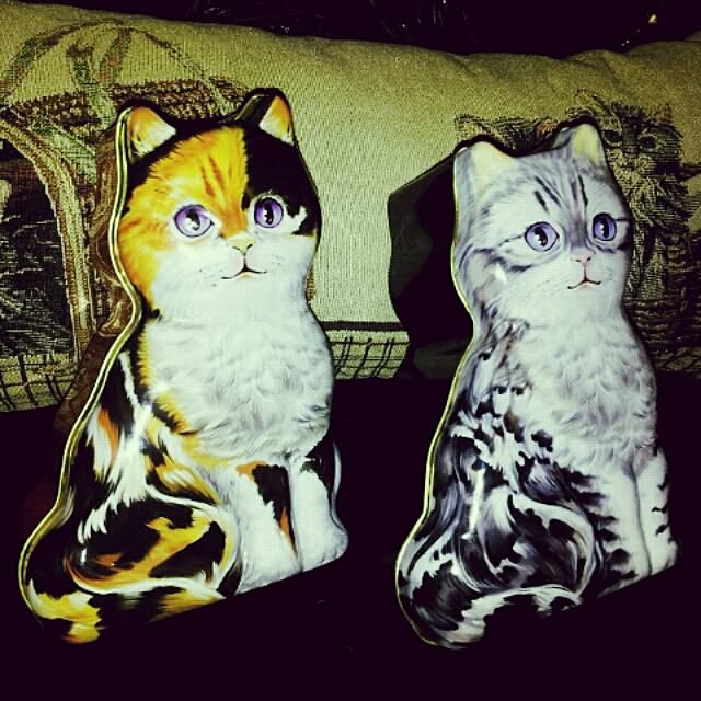 emmyyさんの実例写真