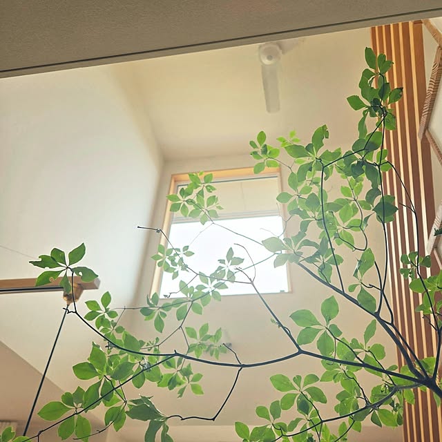 k-houseさんの実例写真