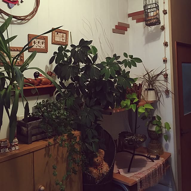 実例写真
