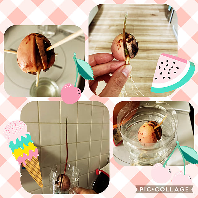 chococoさんの実例写真