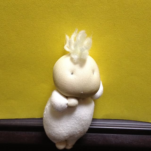 wolfzinさんの実例写真