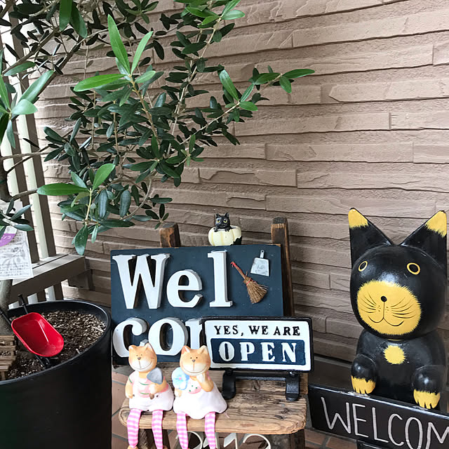 daikichiさんの実例写真