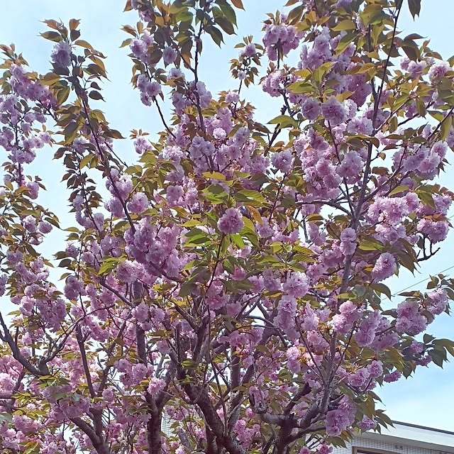 hiro.904さんの部屋