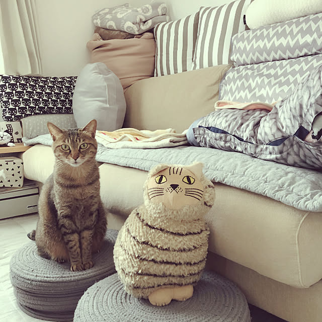 Emiさんの実例写真