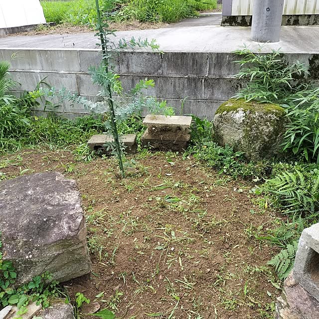 sumimarumiさんの部屋