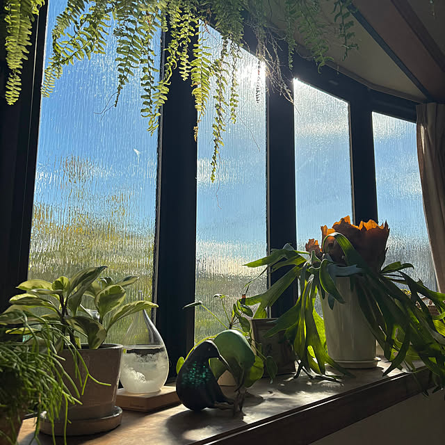 timtamさんの部屋