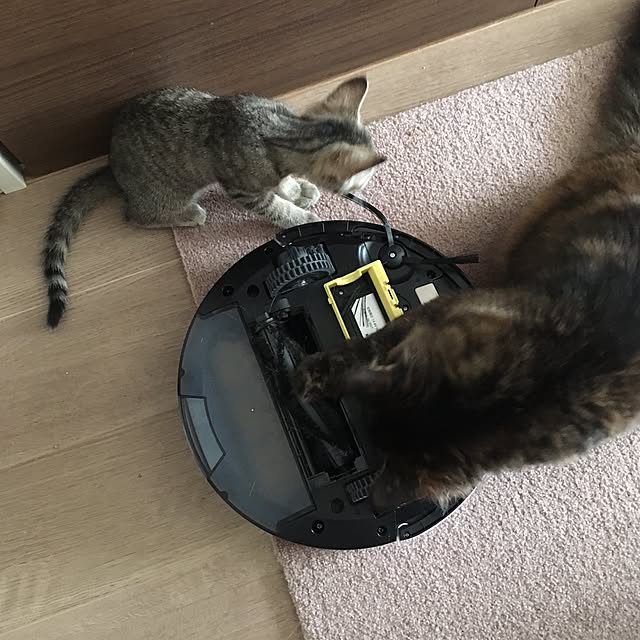 mikomaruさんの実例写真