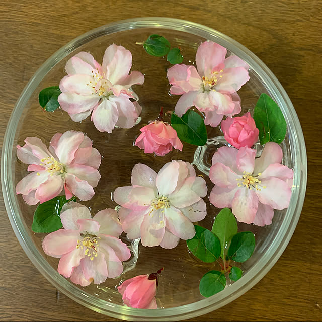 sutekinaoheyaさんの実例写真