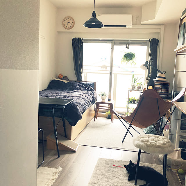annさんの実例写真