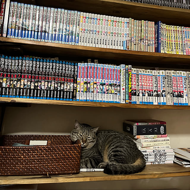mikan161さんの実例写真