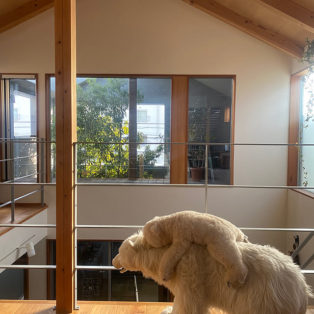 sznoieさんの実例写真