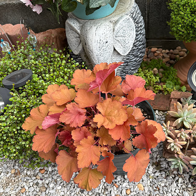 nannoさんの部屋