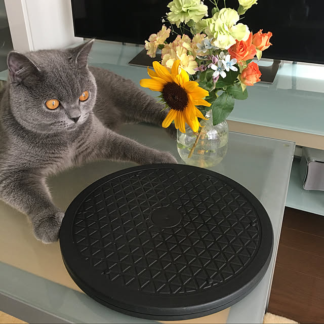 kittyさんの実例写真