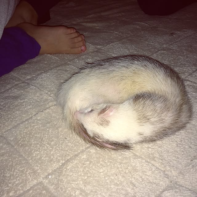 S-tさんの実例写真