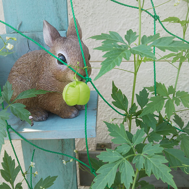 REI.DIYさんの実例写真