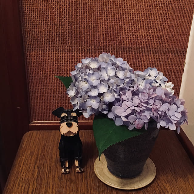 akeさんの実例写真
