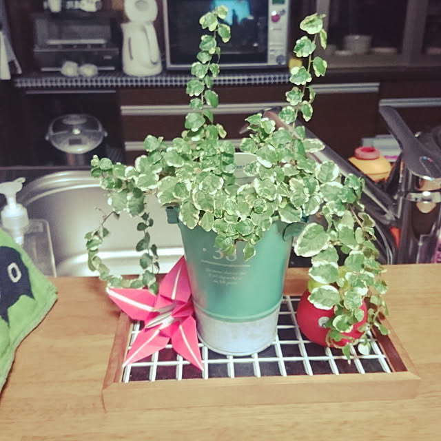 kaoriさんの実例写真