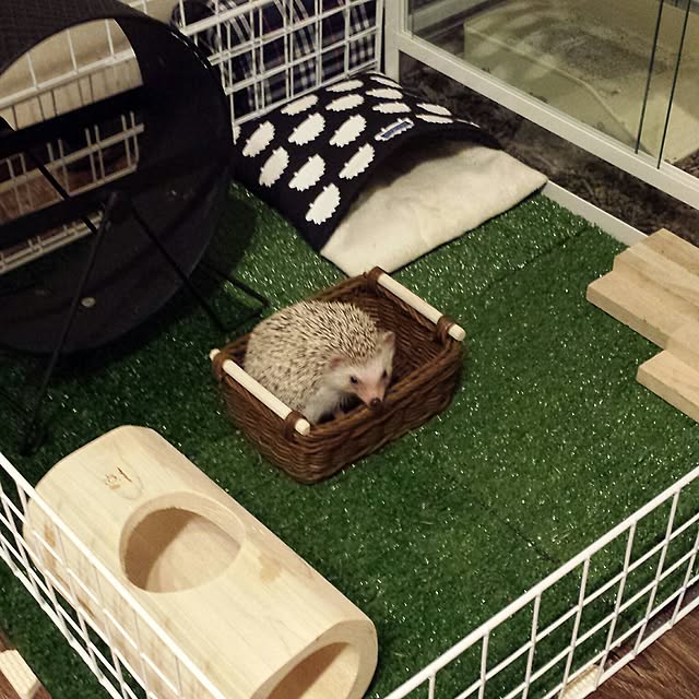 MINIさんの実例写真