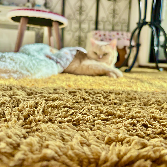 naokoさんの部屋