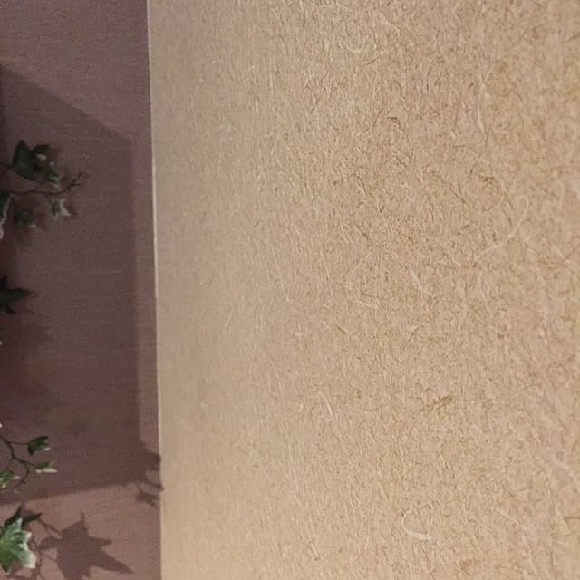Mioさんの実例写真