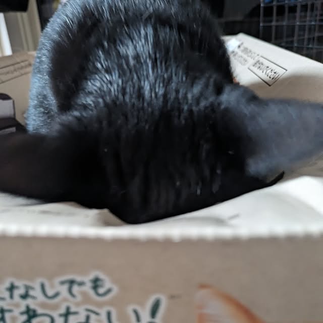 ciiiさんの部屋