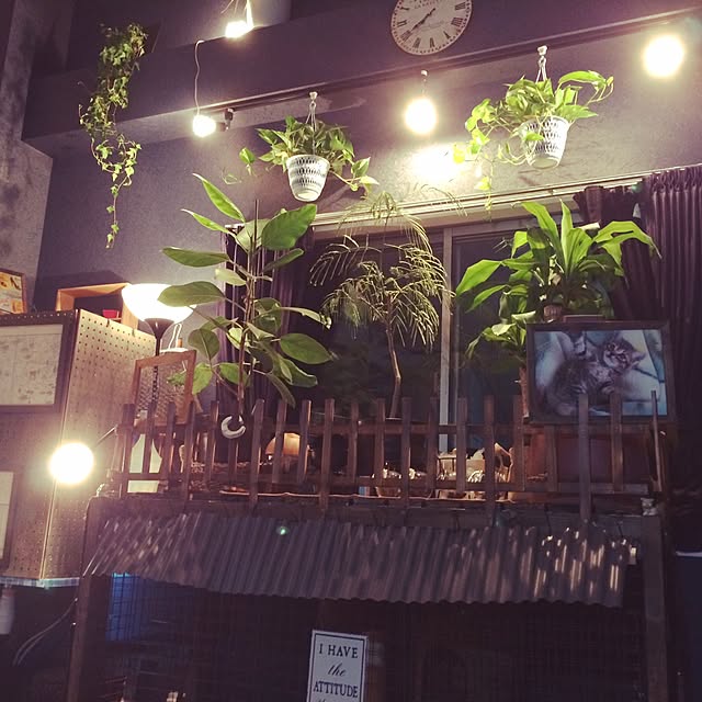 KzyTeteさんの実例写真