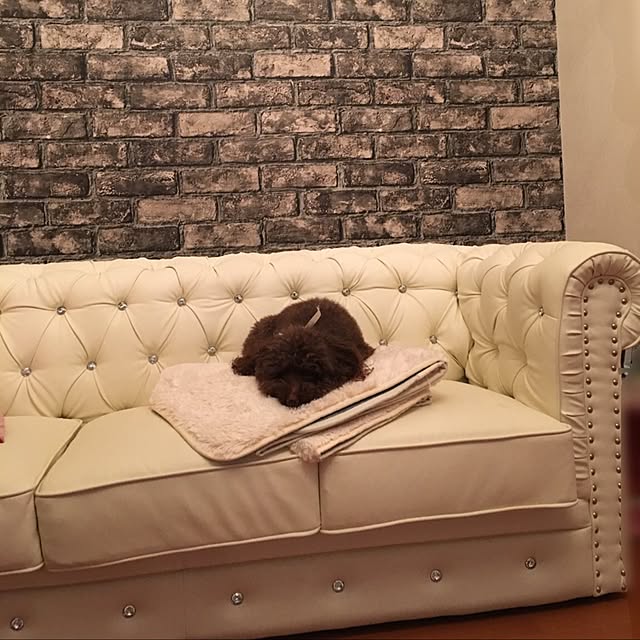 noelさんの実例写真
