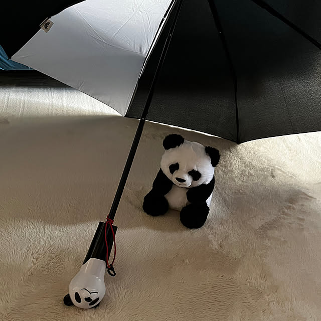 panさんの実例写真