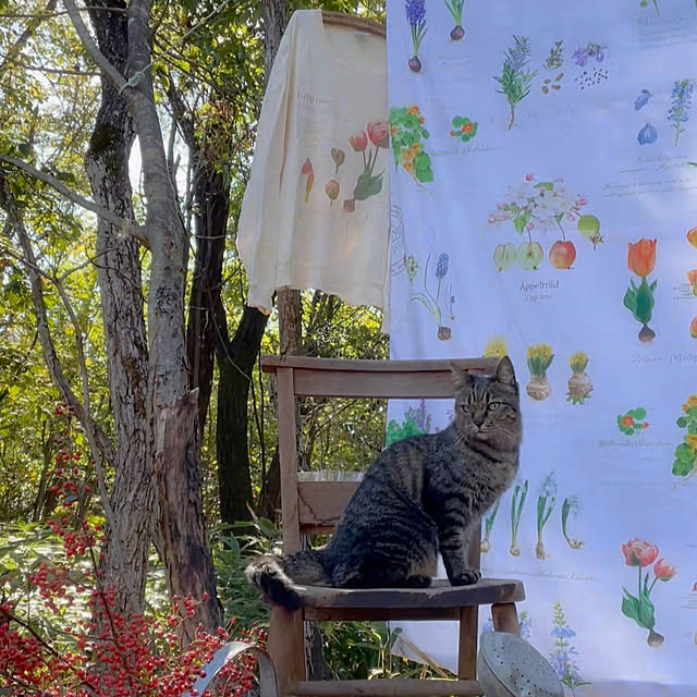 weさんの部屋