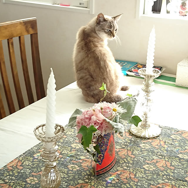 bonobono54さんの実例写真