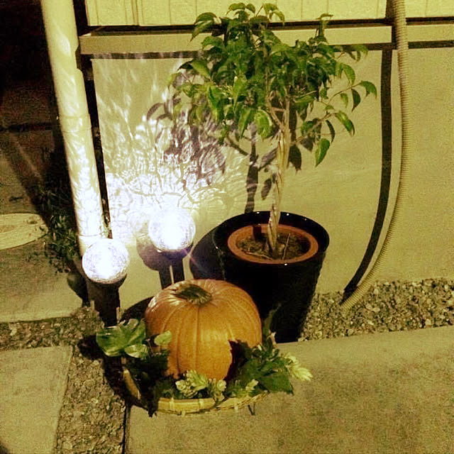 実例写真