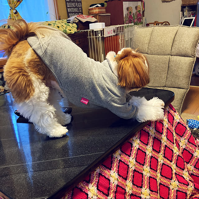 bimoさんの実例写真