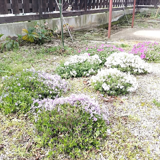 kuririnmamaさんの部屋