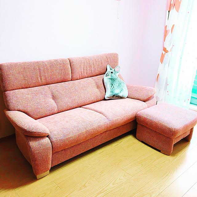 eringoさんの実例写真