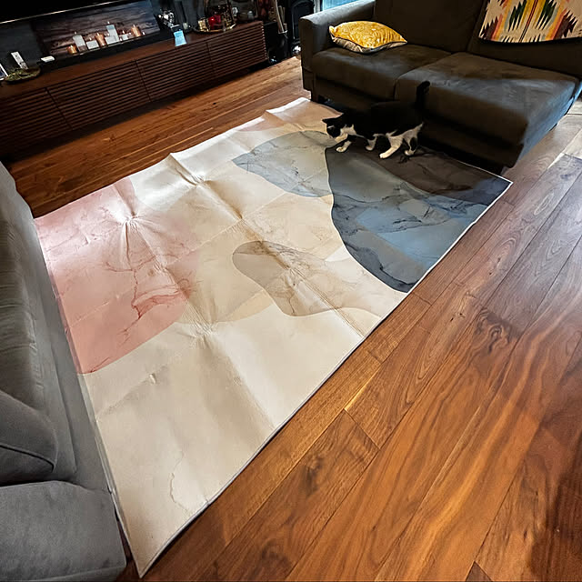 porinさんの部屋